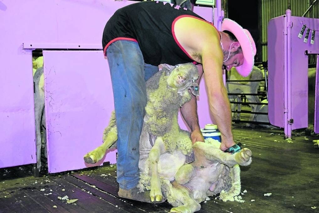 Jumbuk Shearing team's Tom Reed in action at last year's 'Shearing For Liz' day where $18,500 was raised for breast cancer research. This year's event will again be held at the Davies family's Cardiff stud property at Yorkrakine on Sunday, April 9, where everyone is welcome to support the cause and enjoy the hospitality.