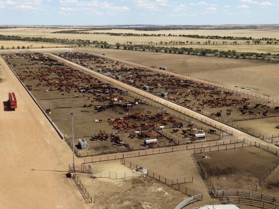 The Harmony Agriculture and Food Co purchased the Westbeef feedlot in Kalannie last year as part of its recent significant investment into the livestock supply chain.