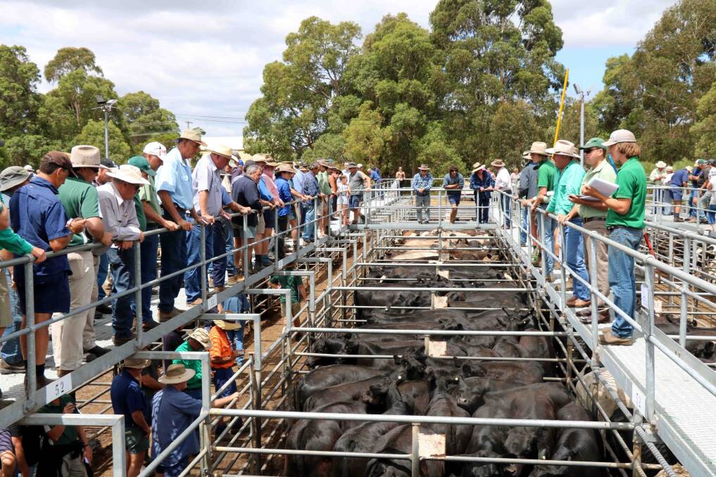 Industry is looking at alternative options to replace the Boyanup saleyards.