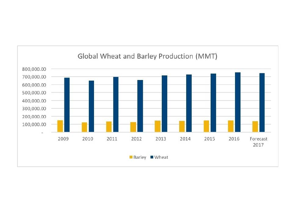 Global Wheat and Barley Production