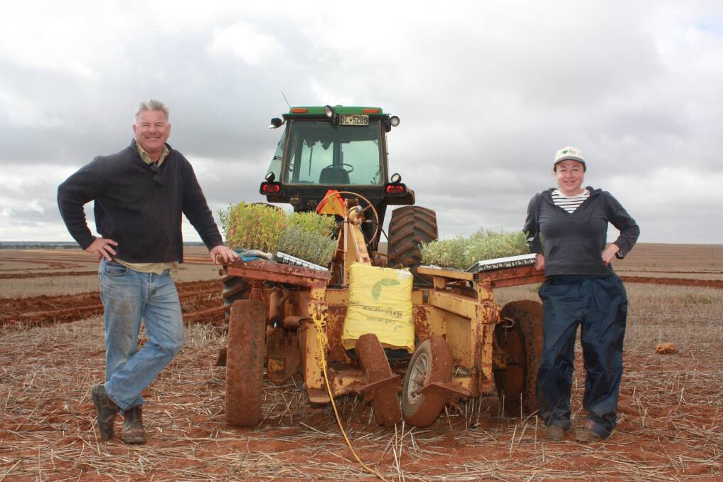  Wide Open Agriculture (WOA) non-executive director and Buntine farmer Stuart McAlpine and WOA regenerative agricultural officer Emma McInerney were part way through planting 60,000 forage shrubs in Buntine when Farm Weekly dropped by last month.