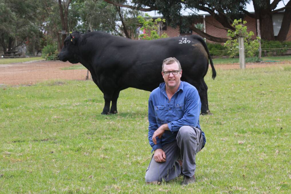 Coonamble stud co-principal Craig Davis, Bremer Bay, with Coonamble Hector H249, which is the sire of Millah Murrah Prue M4, which sold for $190,000 - the highest ever price paid for a beef female in Australia – at last week's Millah Murrah stud female sale in Bathurst, New South Wales.