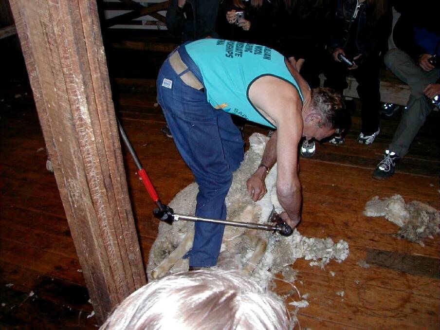 Despite the rigours of the job, shearers have been encouraged to do more stretching and cardio exercises.