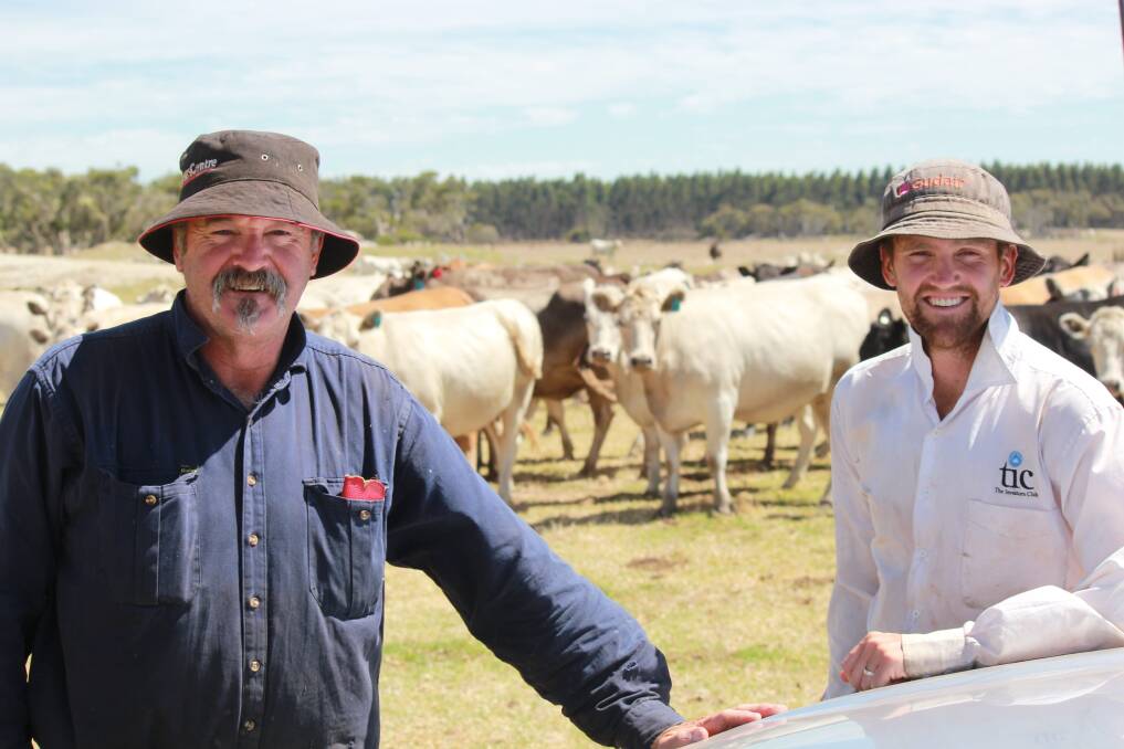  Narrikup cattle producers Chris (left) and Jarrad Norton with some of their Murray Grey cattle herd. The Nortons changed to the Murray Grey breed 20 years ago and say they are impressed by its temperament and performance.