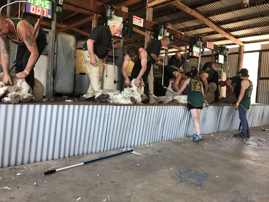  A big feature of the Darkan Sheepfest on Saturday, February 10, will be a Sports Shear competition which will feature past and present State and National representative shearers and interstate shearers.