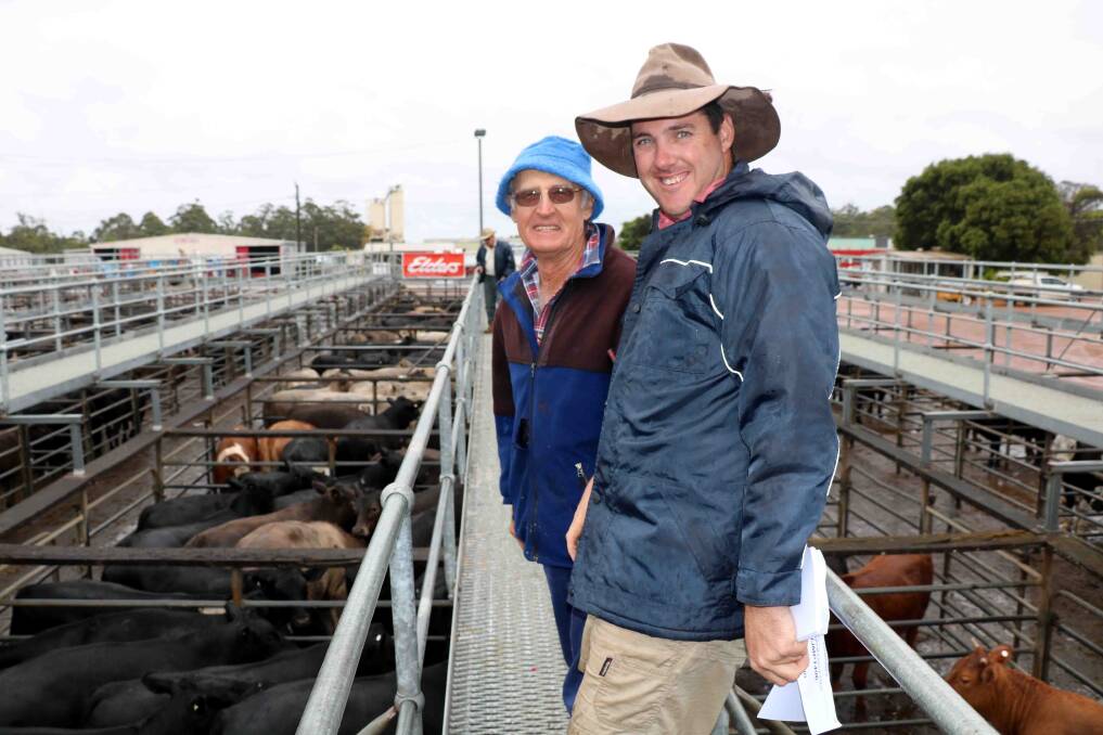 Bob Pessotto (left), Manjimup, inspecting the calves at the combined agents Manjimup cattle sale last week with Cameron Harris, Elders Manjimup. Bob sold the top-priced steers in the Elders section when they made $1111 and 300c/kg and the top-priced heifers in the Primaries section for $994 and 284c/kg.