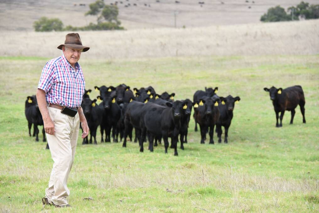  Gingin beef producer George Gifford knows Angus is an easy to run, no-fuss breed.