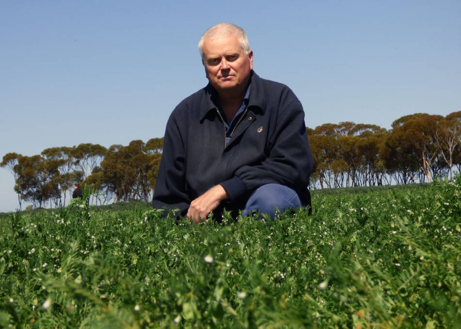 Department of Primary Industries and Regional Development senior research officer Mark Seymour says growers should consider lentils as an option for the 2018 season.