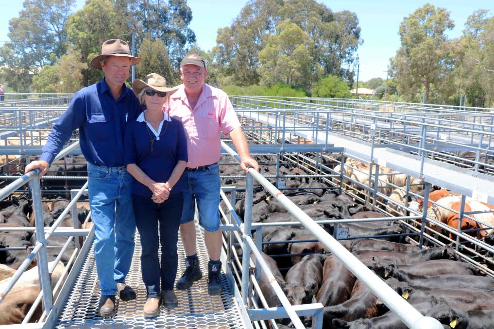 Richard (left) and Robyn Walker, Wilga and Mal Barrett, Elders Boyanup, before the Elders weaner sale where 1438 calves were sold. The Walker calves attracted strong interest, selling to $1103.