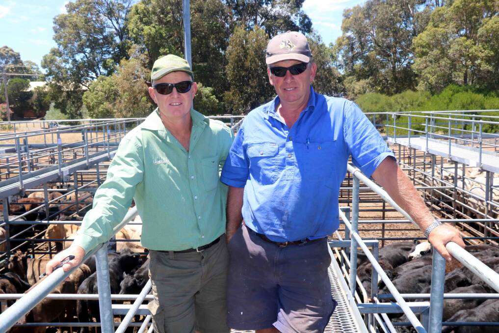 Jock Embry (left), Landmark Margaret River, with John Whiteford, Carbanup, at the last Landmark weaner sale for this season, at Boyanup where Mr Whiteford sold steers to $1216.
