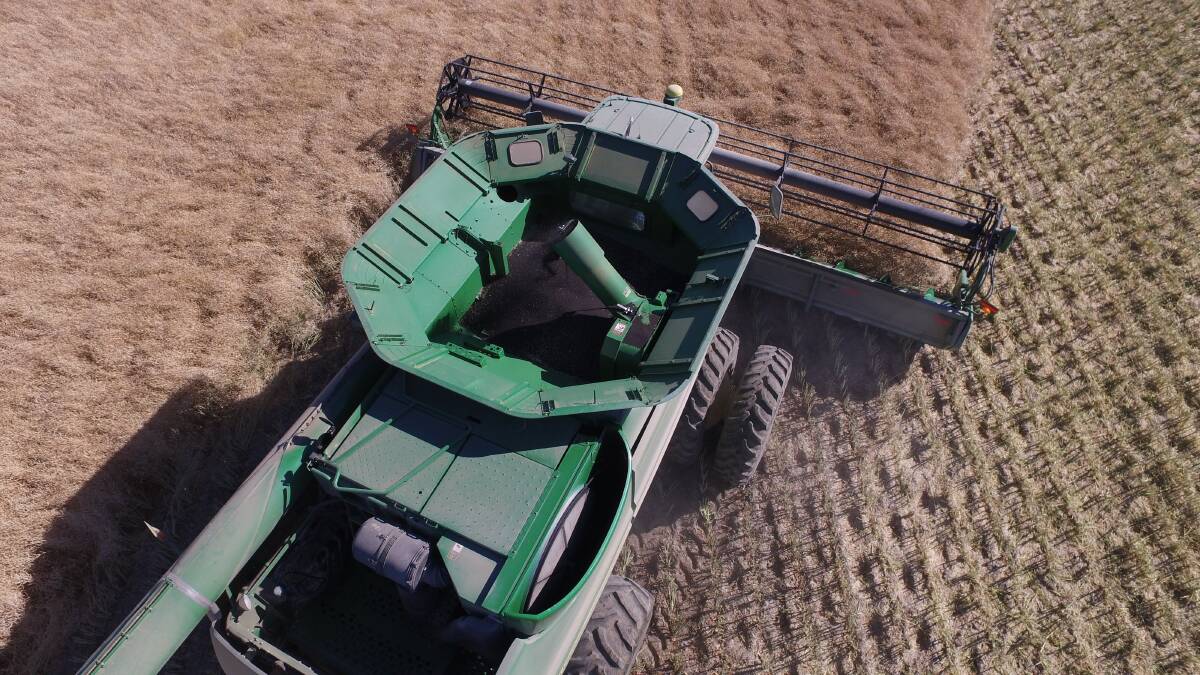Harvesting as part of the Nuseed Omega-3 DHA canola trial. The genetically modified canola variety is the world's first plant-based source of long-chain omega-3 fatty acids.