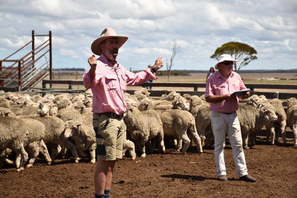  Elders auctioneer Dean Hubbard (left) with clerk David Halleen selling the ewes at Bev and Ted Hill's clearing sale at West River last week.