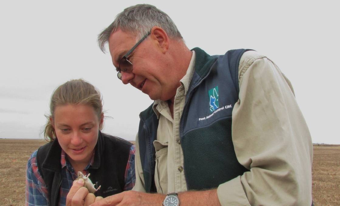 CSIRO researchers Nikki Van de Weyer and Steve Henry record mouse population data during a recent monitoring exercise through south-eastern Australia.