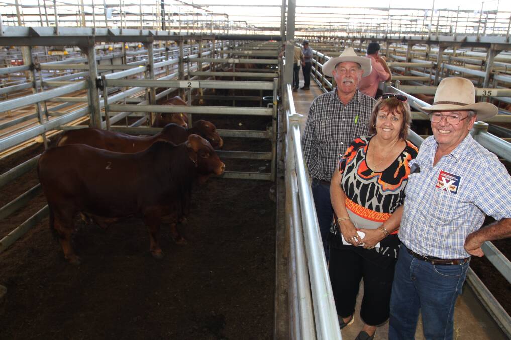 Bill Sounness (left), Merryup stud, Mt Barker, with Wanna station managers Gwenva and Arthur Taylor, Gascoyne Junction, at the  X-Factor Beef Production Sale at the Muchea Livestock Centre last week. Wanna station was among the volume buyers of the sale sewing eight Merryup Droughtmaster bulls.