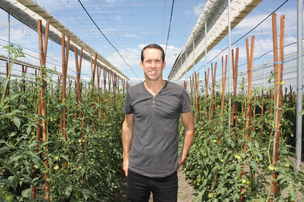 Wide Open Agriculture chief executive officer Ben Cole at the regenerative agriculture and food company's Arthur River greenhouse, which will this year hone in its production on tomato and capsicum crops.
