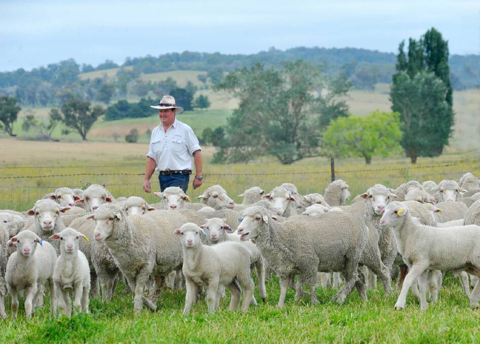  Mirani stud co-principal Hugh Nivison, Walcha, New South Wales, is a strong supporter of Authentico.