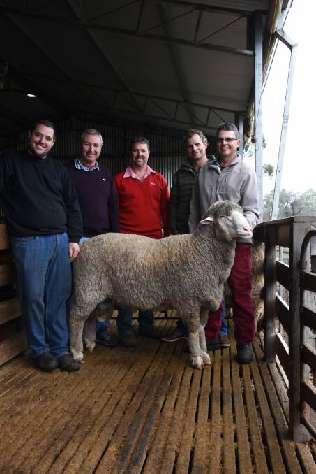  The Seymour Park stud, Highbury, was the first stop for South African Merino breeders Dykie De Villiers (second left) and Craig Ferreira (second right) and their BKB agent Bennie Steyn during their visit to WA last week. With them looking over a Seymour Park sire were Seymour Park stud principal Clinton Blight  and Elders stud stock representative Nathan King.
