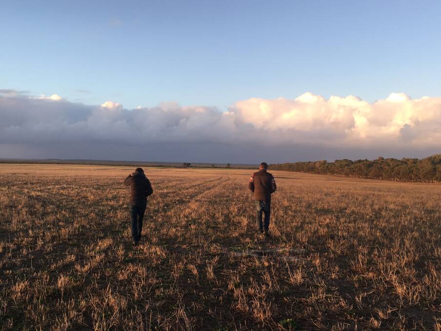 There isn't much green to be seen at the Lawsons Angus Woolahra property at Jerdacuttup where one of the drought strategy workshops was held last week.