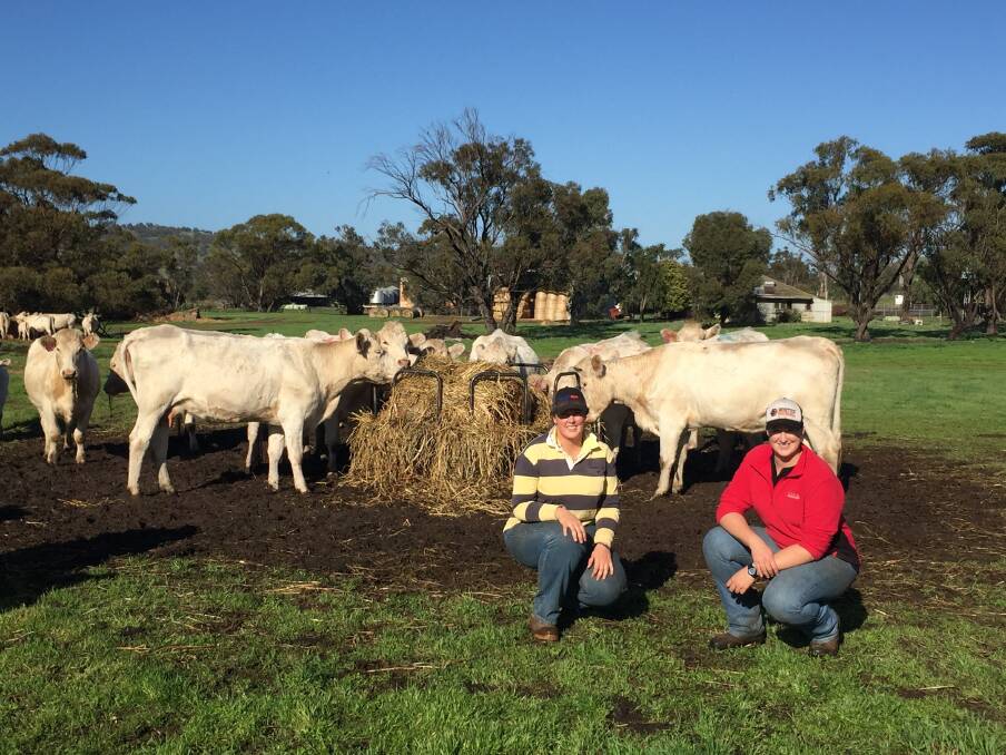 Morgan (left) and Jess Yost returned to their parents' farm at Toodyay a few years ago after studying and are keen to continue on the family business.