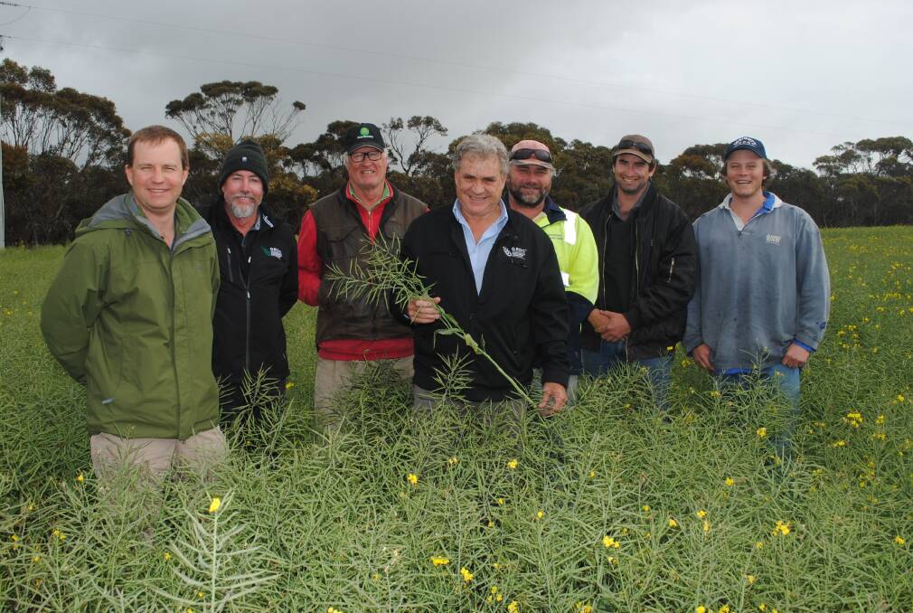  Members of GRDC's Western Regional Panel touring parts of WA in 2017. Similar tours will commence from Monday, July 30.