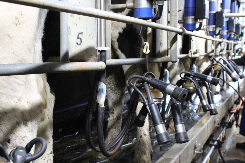 Dairy industry in the balance