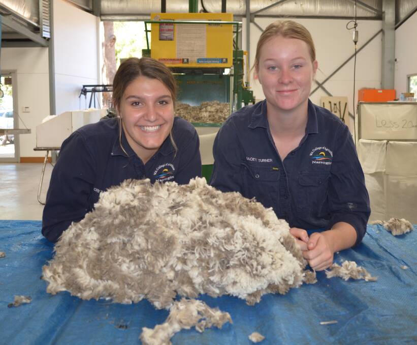 p Year 12 students Tori Guariglia (left) and Macey Turner working in the shearing shed at the Western Australian College of Agriculture, Narrogin.