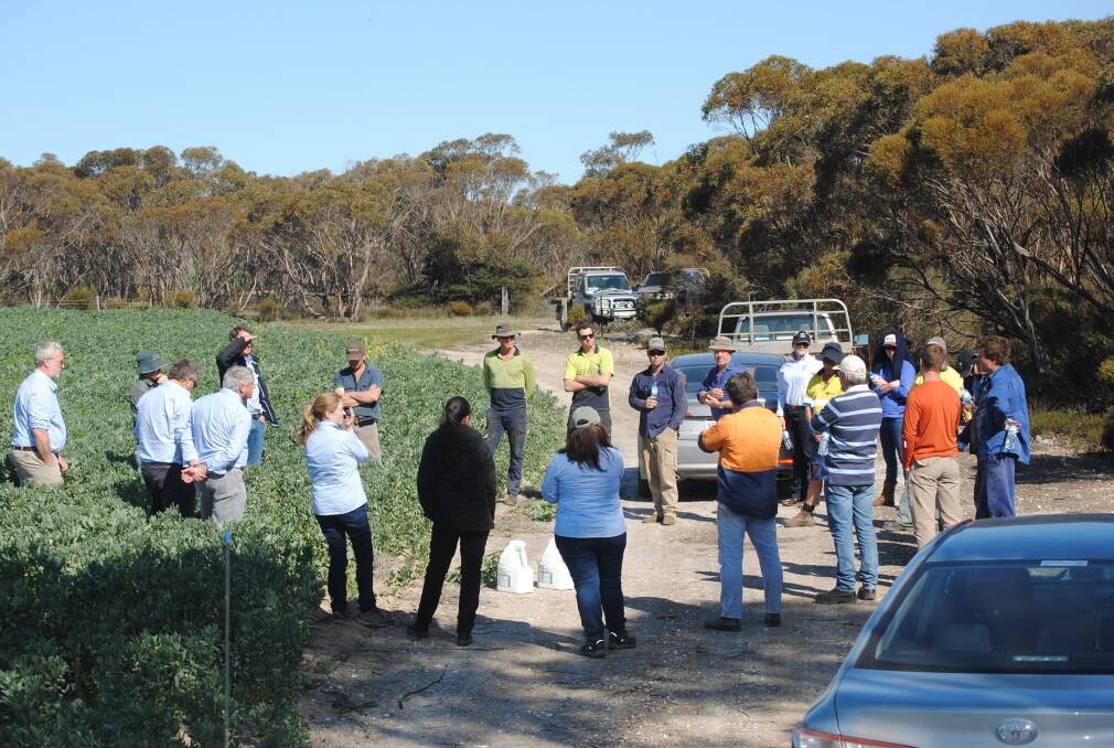 GRDC Western Region Panel members, staff and board members meeting with growers during a spring tour in 2017.