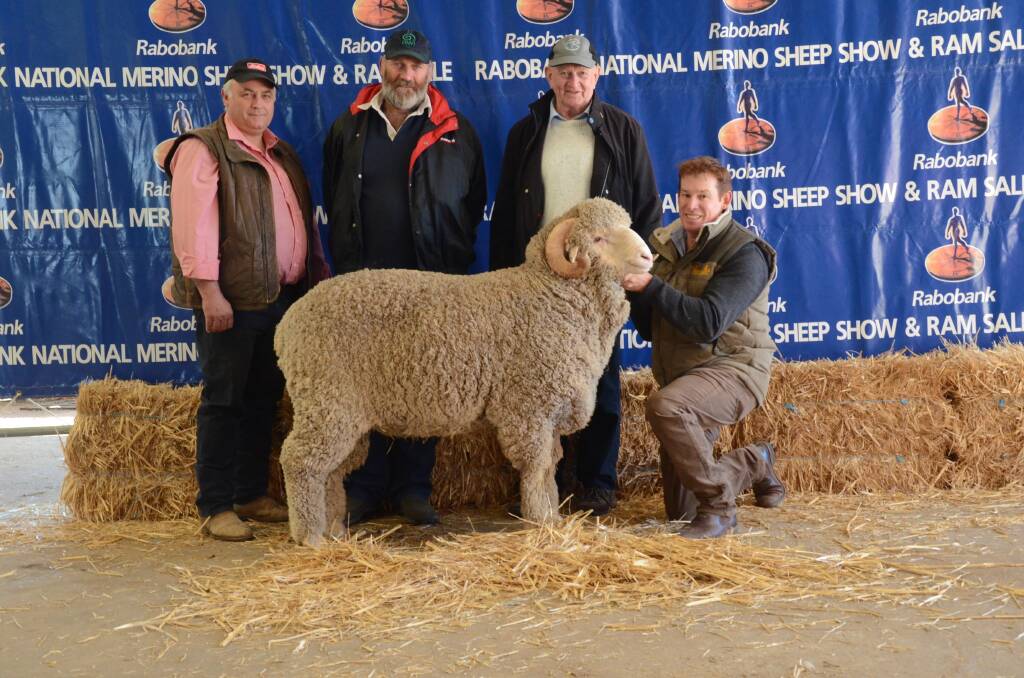 This Roseville Park ram was purchased privately for $15,000 by the Mallibee stud, Wannamal, at the 2018 Rabobank National Merino Show and Sale at Dubbo, New South Wales, last week. With the ram is Scott Thrift (left), Elders Dubbo Merino specialist, buyer Roger Glover, Mallibee stud and stud consultant Bruce Cameron, Kingsley and Roseville Park stud principal Matthew Coddington, Dubbo, NSW. 