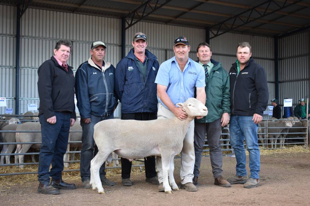  With the $3100 top-priced Poll Dorset stud ram at last week's Shirlee Downs-Dongadilling on-property ram sale at Quairading. 