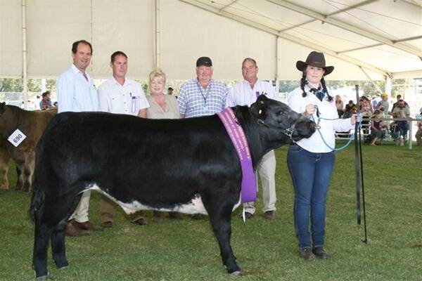 With the grand champion led heifer, a Belgian Blue-Murray Grey cross, of this year's Smoke Free Perth Royal Show were judges Trevor Hinck (left) and Shane Fuchsbichler, exhibitors Lone Chorley and John Barber, Manjimup, judge Jim Goodchild and handler Jemma Thomas, Lockridge Senior High School. The heifer went on to be judged the supreme steer or heifer of the show.