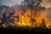 Ember attack likely from Perth hills fire