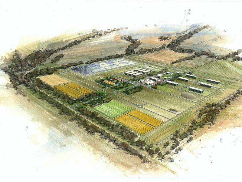An artist's impression of a proposed radioactive waste facility at Napandee in South Australia.