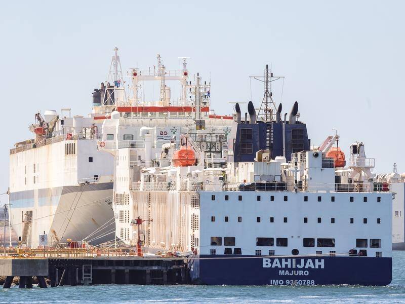 WA farmers have been unhappy about the handling of MV Bahijah, which was forced to return to port. (Richard Wainwright/AAP PHOTOS)
