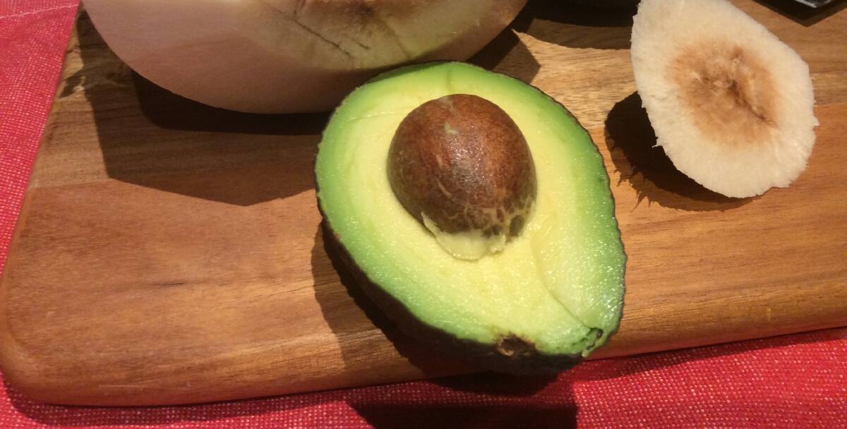 Avo genome sequencing getting closer