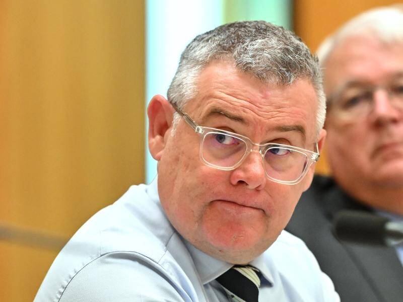 Agriculture minister Murray Watt says the live sheep export industry has lost its social licence. (Mick Tsikas/AAP PHOTOS)