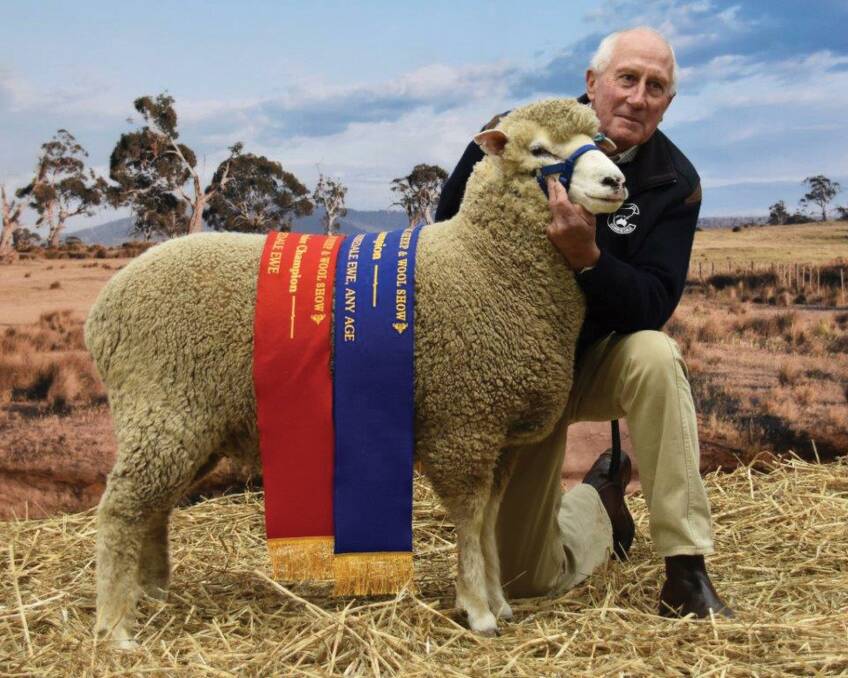 DEDICATION: Tony Manchester, Roseville Corriedales and Kingvale Supreme Poll Dorset studs, with one of his award-winning ewes.