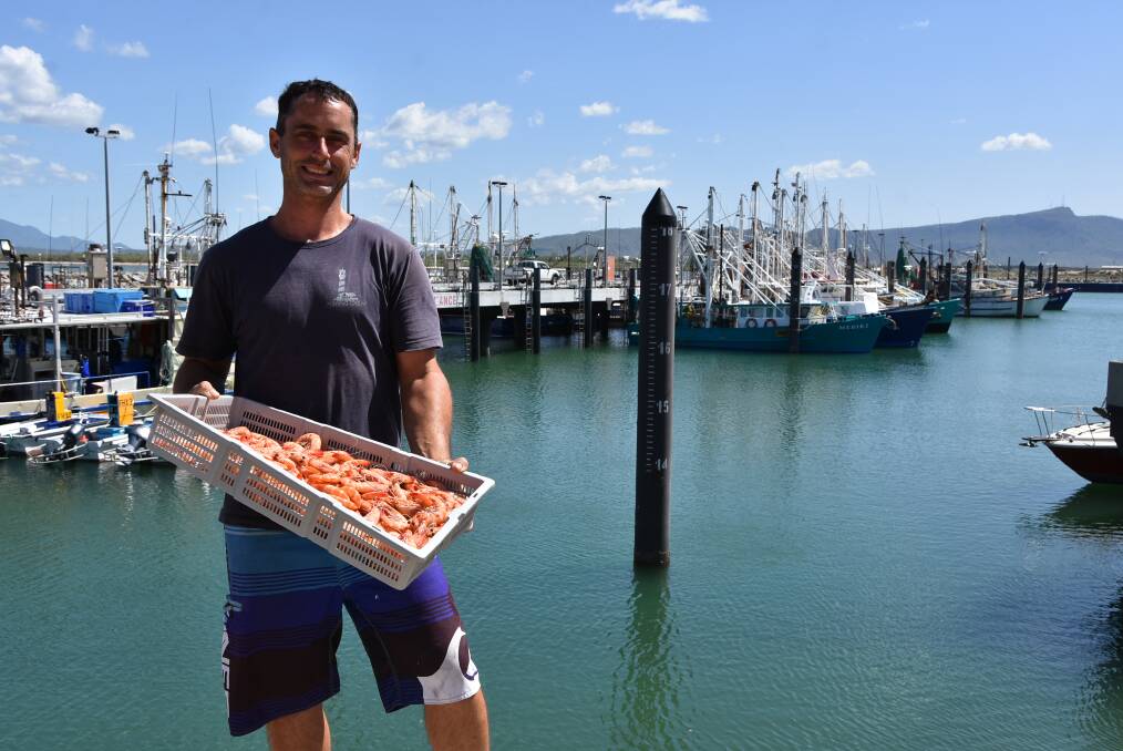 Lucas Dansie, of NQ Marina Fresh Seafoods, said prawns would be in plentiful supply.