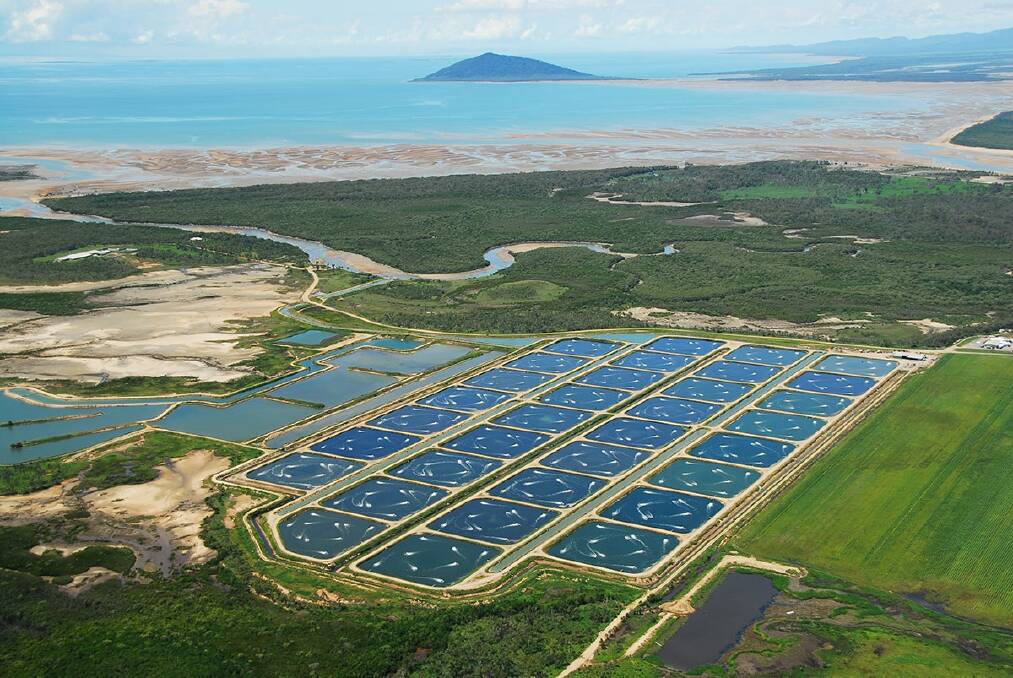 OPPORTUNITY ABOUNDS: There is scope for aquaculture production to increase five-fold in northern Australia by 2030.