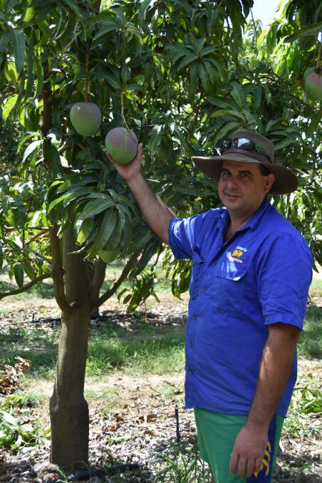 Ben Martin, who was named young Australian farmer of the year, pictured at his mango farm at Delta, near Bowen. 
