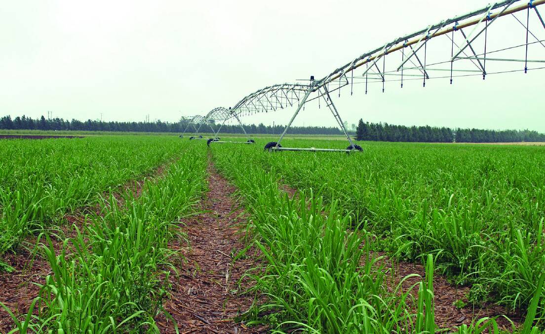 RISING IRRIGATION COSTS: The cane industry says water charges must be reset to maximise the overall benefit.