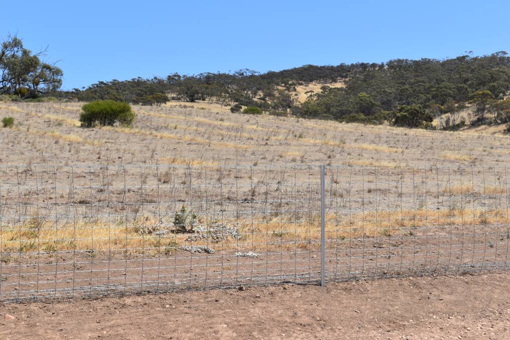 The exclusion zone fence with the latest direct seeding rows in the background. Picture by Kiara Stacey