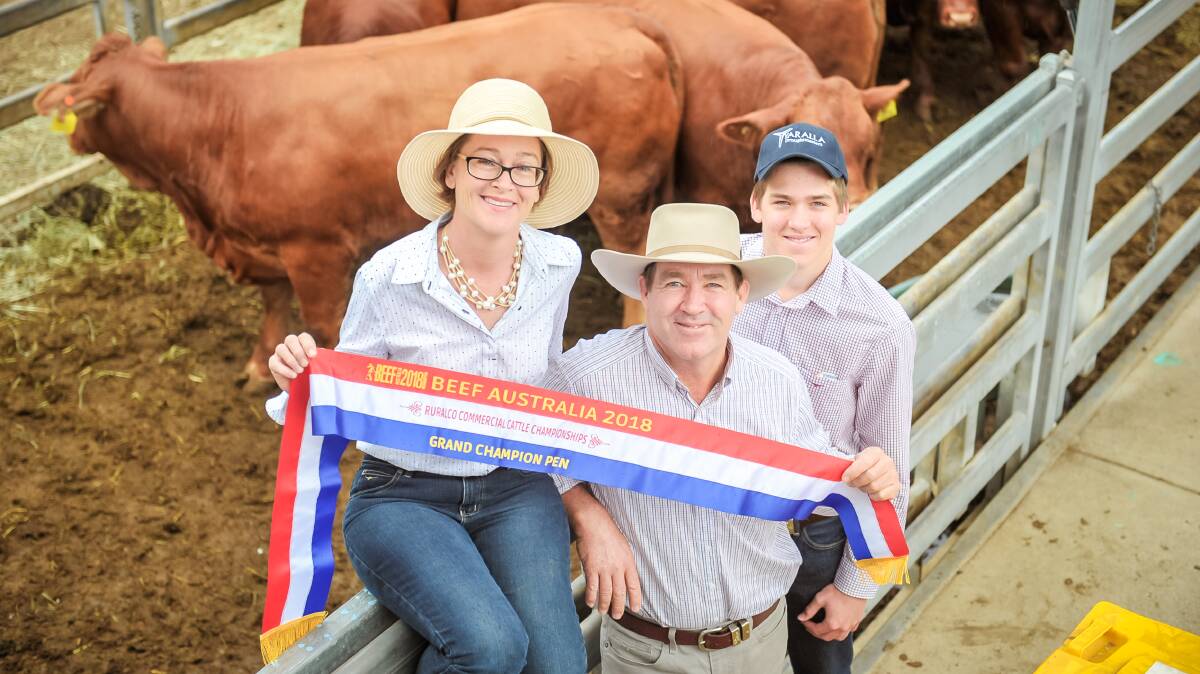 VICTORY AGAIN: Kerry, Ken, and Thomas McKenzie, Yaralla Droughtmasters, Blackwater, took out the champion commercial pen again - this year with heifers. Photos - Kelly Butterworth. 