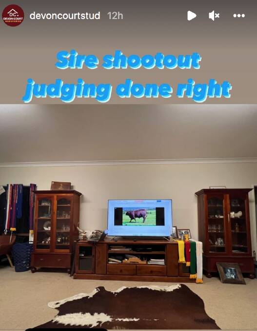 Devon Court Herefords had the ultimate set up for night one of judging as shared on their Instagram. 