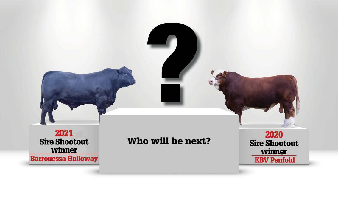 Who will win this year's Sire Shootout? 