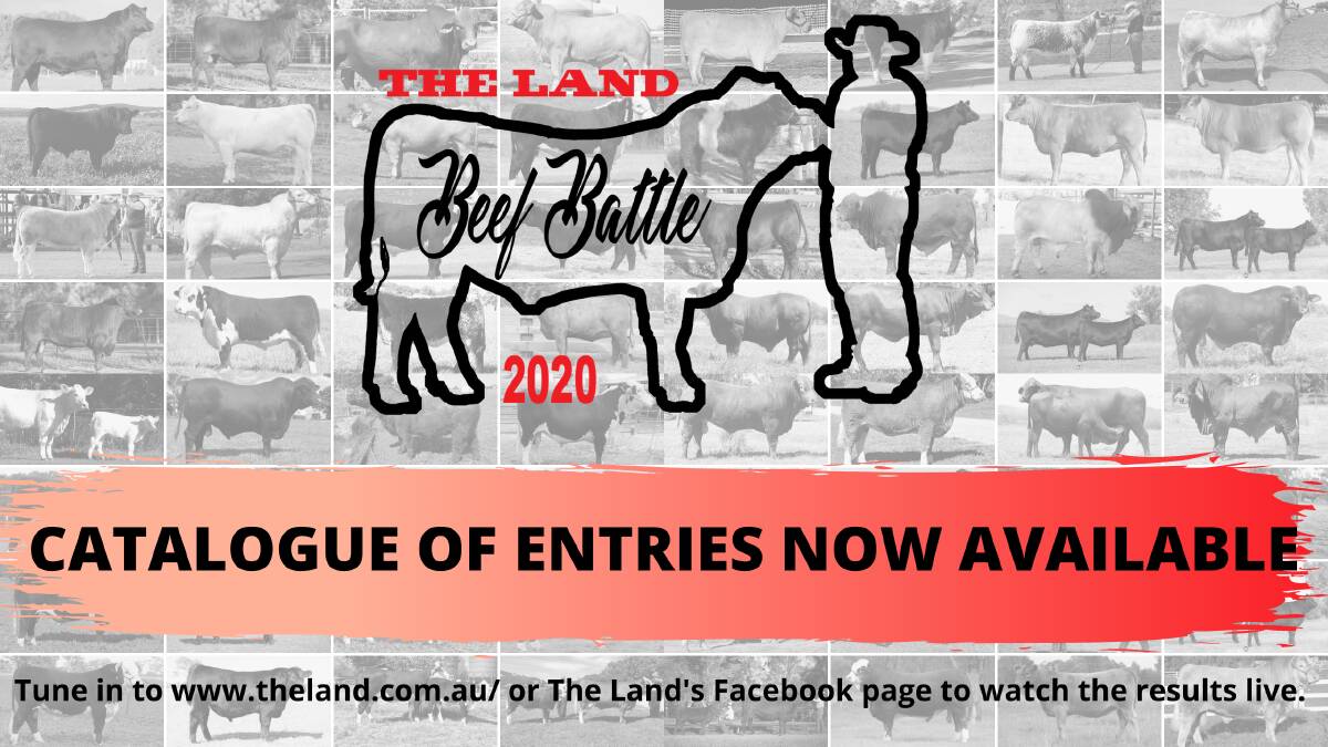 Browse the Beef Battle catalogue