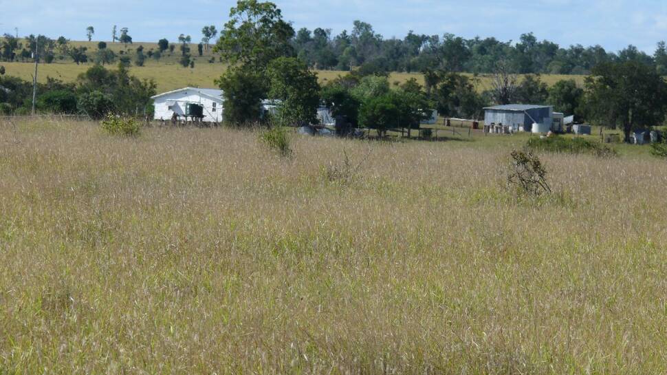 Improvements include a three bedroom homestead, two sheds, and portable panel cattle yards.