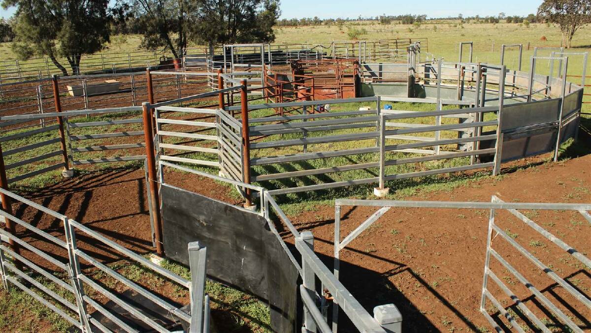 The panel cattle yards have a permanent working race and pound, CIA vet crush, and loading ramp. 