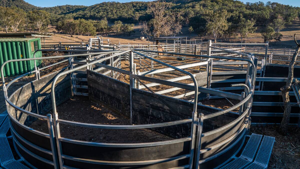The two sets of steel cattle yards are serviced by a laneway system.