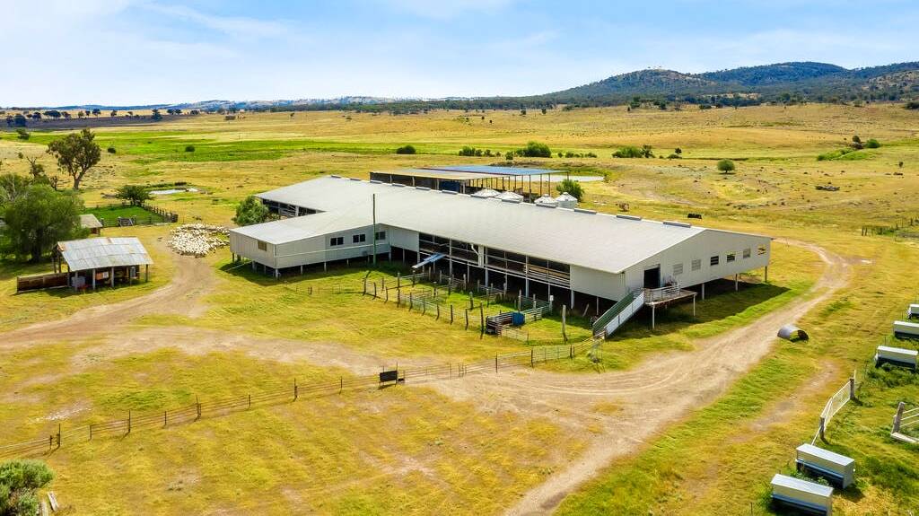 improvements include five and eight stand shearing sheds and four sets of sheep yards.