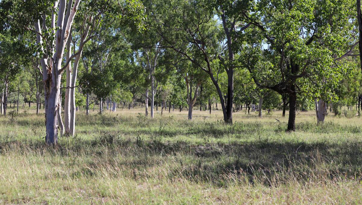 Collinsville property Desmond Station covers 4051 hectares.